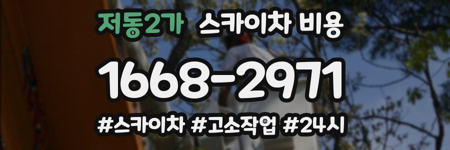 저동2가 스카이차 비용