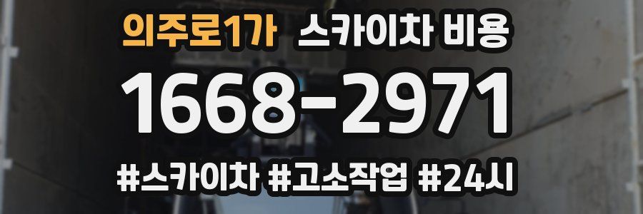 의주로1가 스카이차 비용