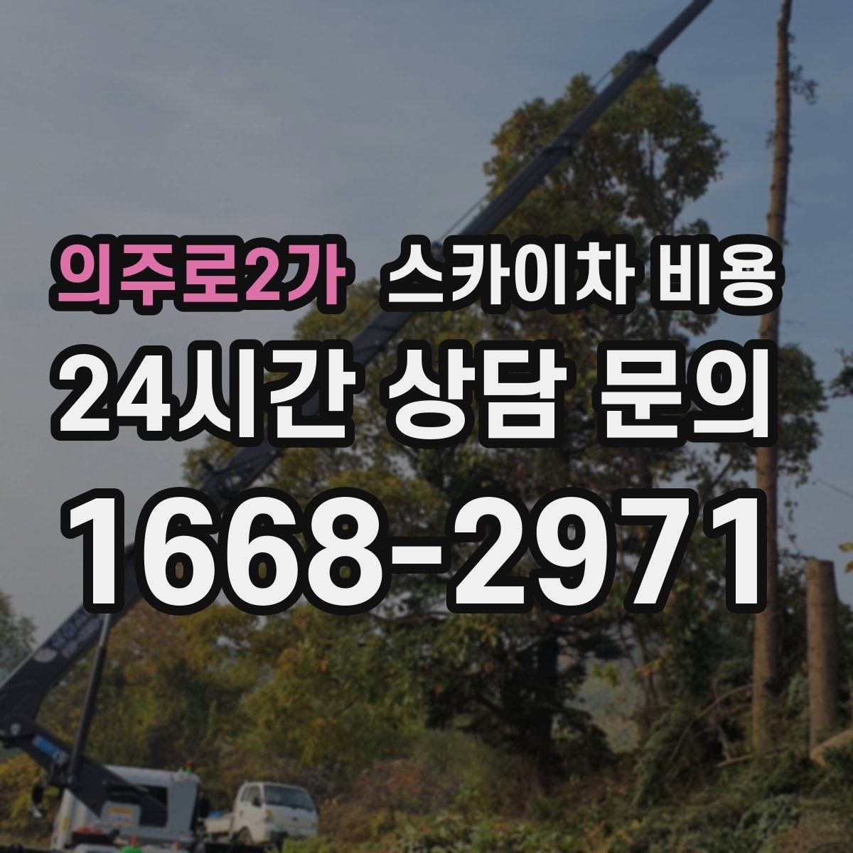 의주로2가 스카이차 비용 결국 비용은 '현장 조건'이 좌우합니다