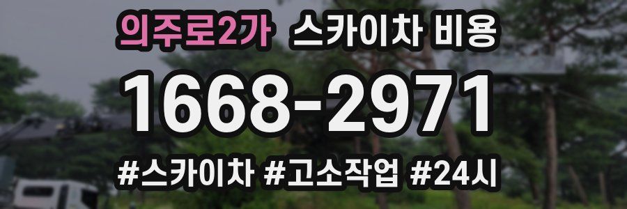 의주로2가 스카이차 비용