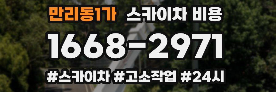 만리동1가 스카이차 비용