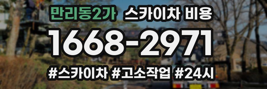 만리동2가 스카이차 비용