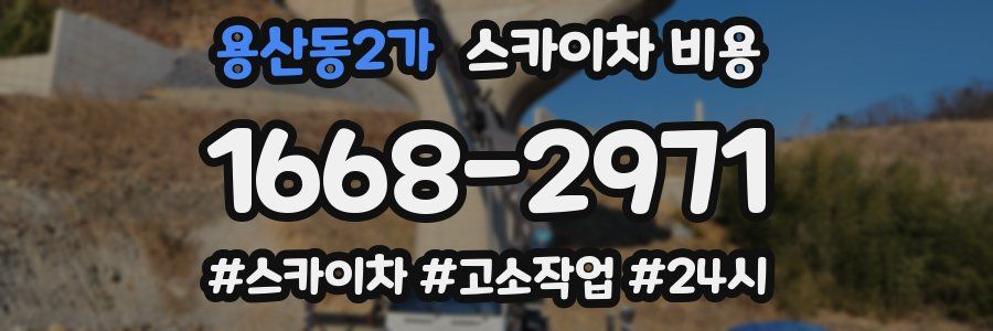 용산동2가 스카이차 비용