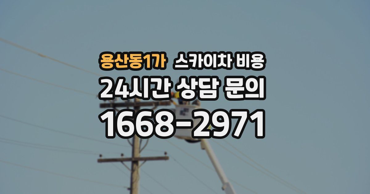 용산동1가 스카이차 비용