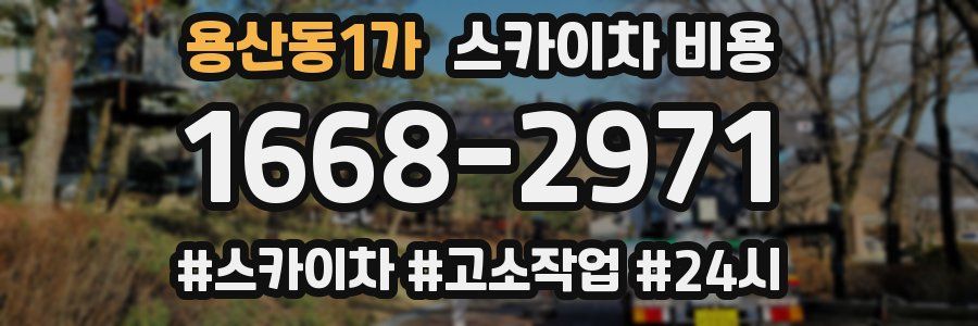 용산동1가 스카이차 비용