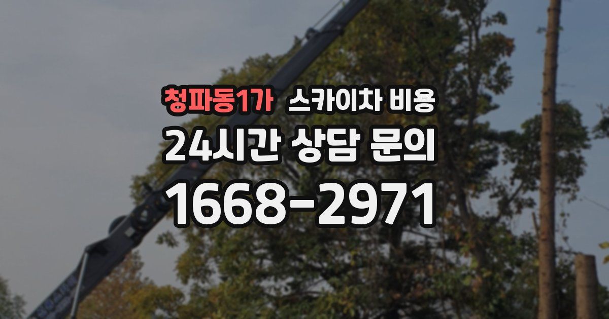 청파동1가 스카이차 비용