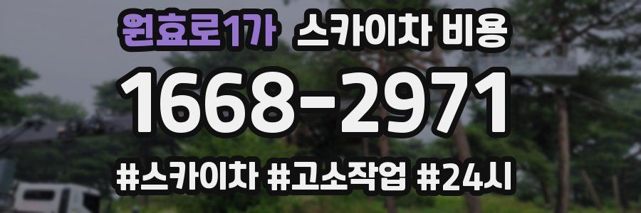 원효로1가 스카이차 비용