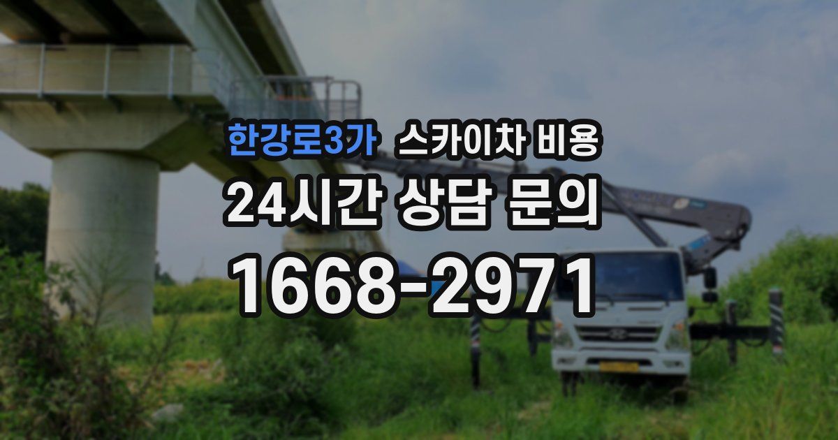 한강로3가 스카이차 비용