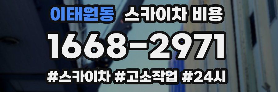 이태원동 스카이차 비용