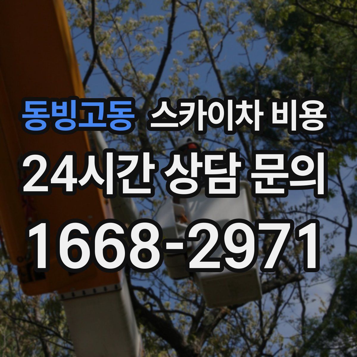 동빙고동 스카이차 비용