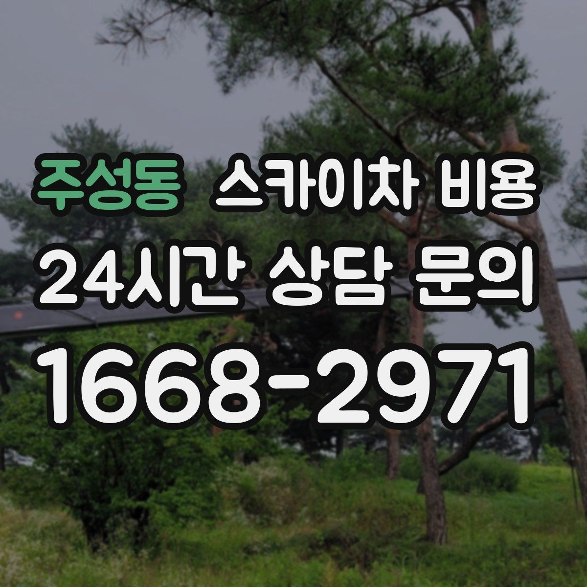 주성동 스카이차 비용 방범등 교체가 여러 개면 비용이 달라질까