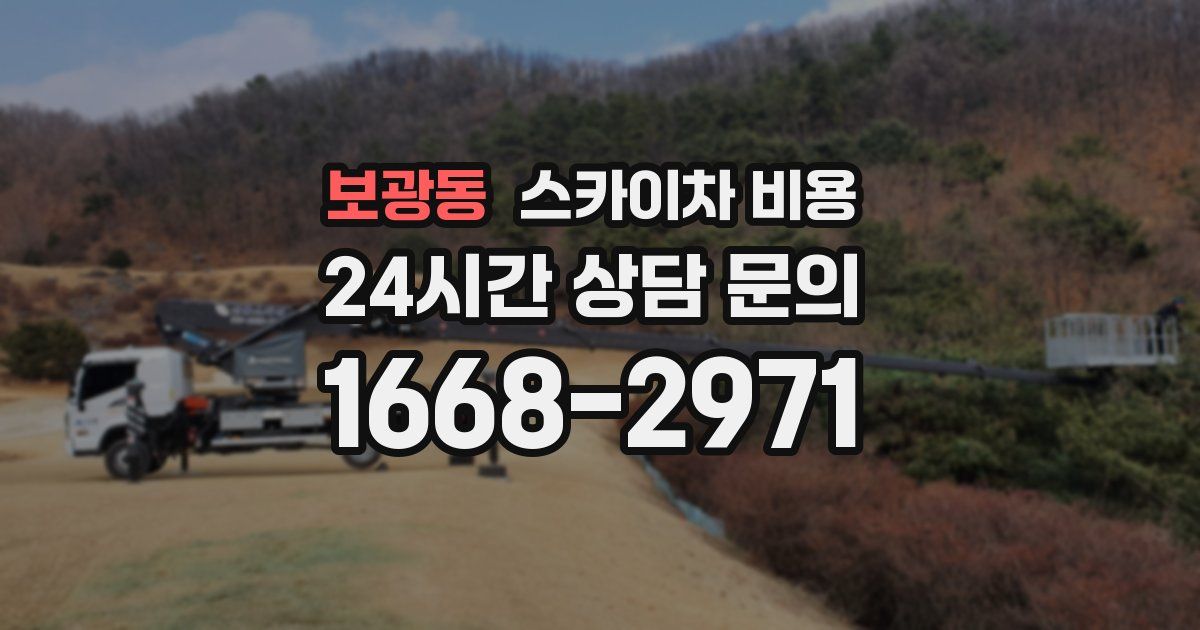 보광동 스카이차 비용