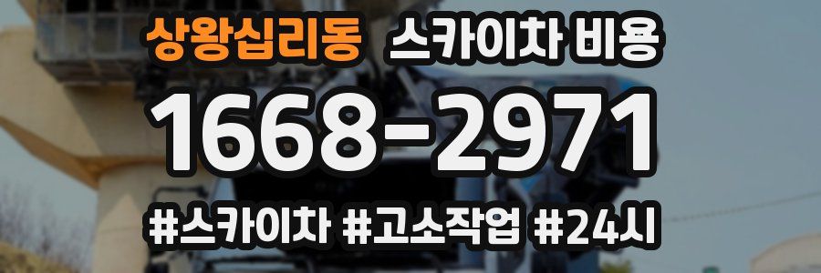 상왕십리동 스카이차 비용