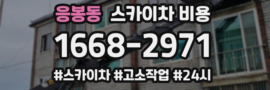 응봉동 스카이차 비용