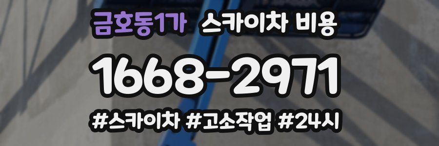 금호동1가 스카이차 비용