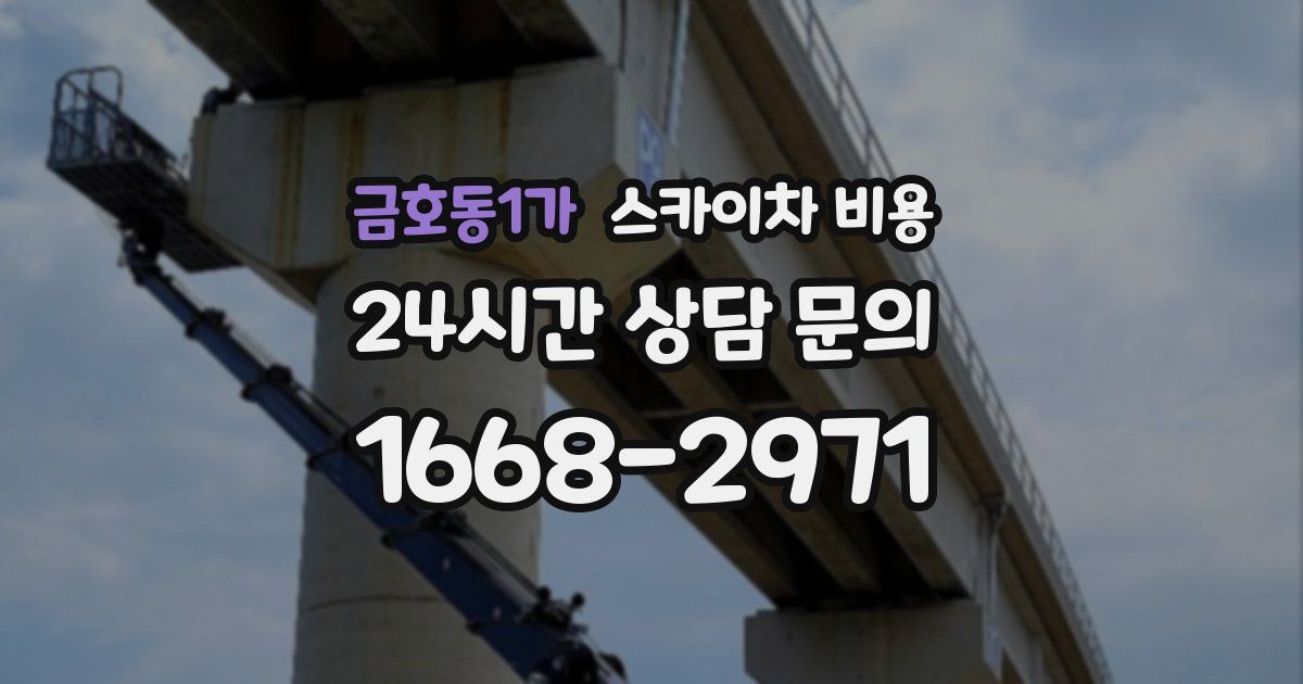 금호동1가 스카이차 비용