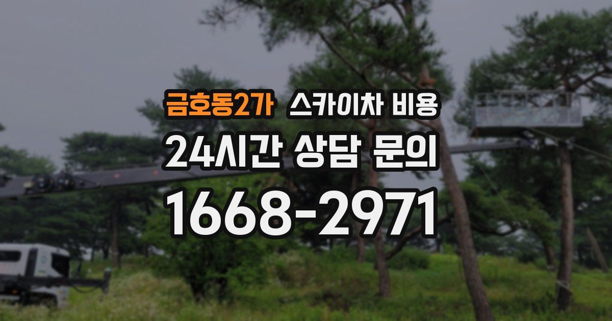 금호동2가 스카이차 비용