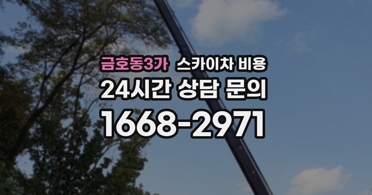 금호동3가 스카이차 비용