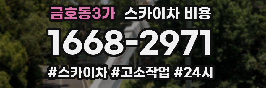 금호동3가 스카이차 비용