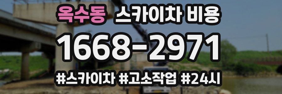 옥수동 스카이차 비용