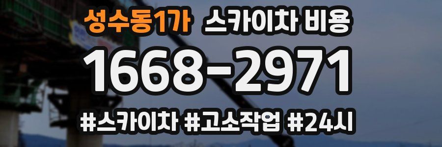 성수동1가 스카이차 비용