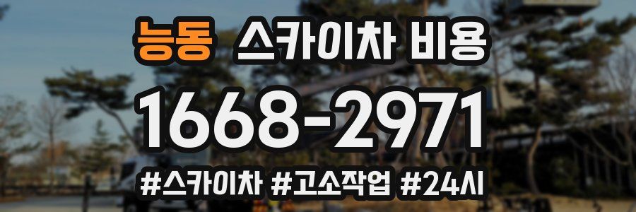 능동 스카이차 비용