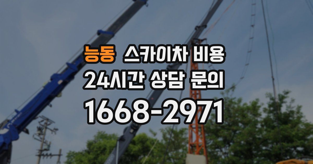 능동 스카이차 비용