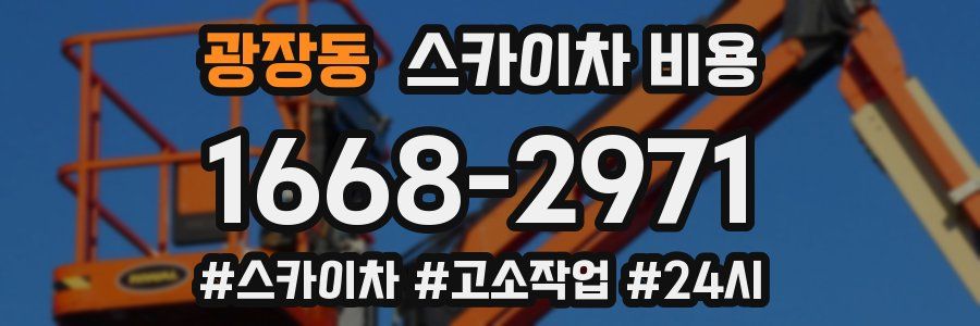 광장동 스카이차 비용