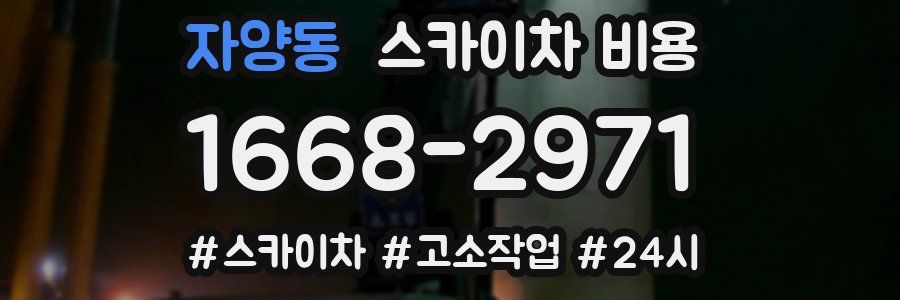 자양동 스카이차 비용