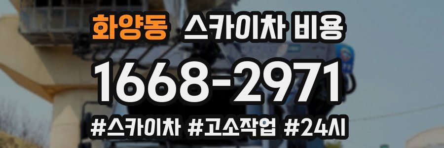 화양동 스카이차 비용