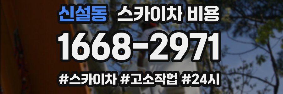 신설동 스카이차 비용