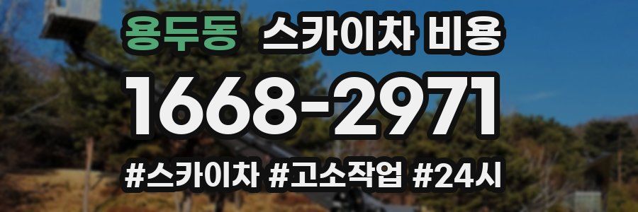 용두동 스카이차 비용