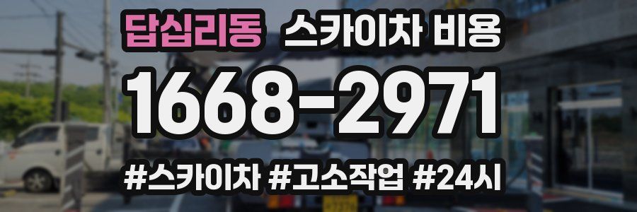 답십리동 스카이차 비용