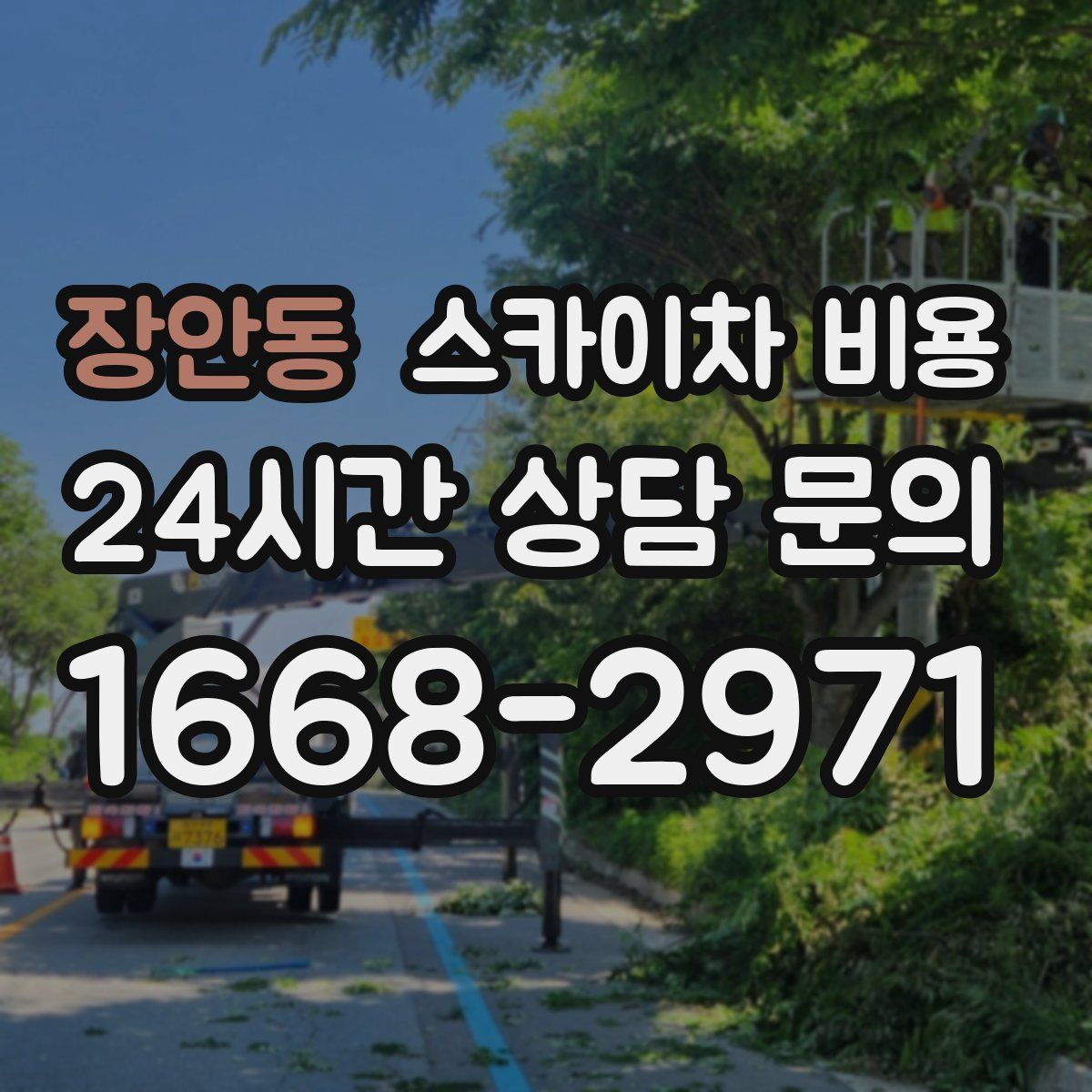 장안동 스카이차 비용