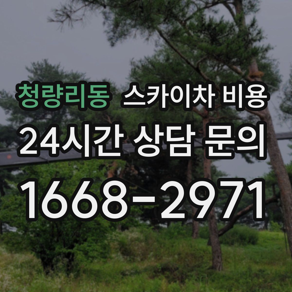 청량리동 스카이차 비용