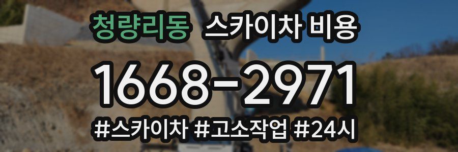 청량리동 스카이차 비용