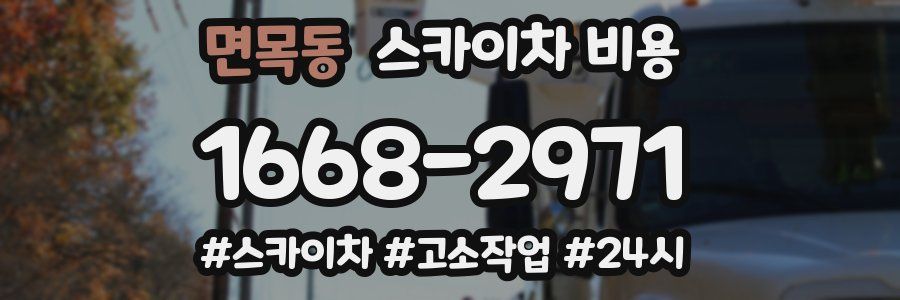 면목동 스카이차 비용