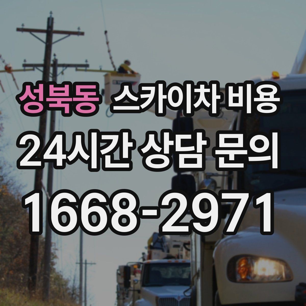 성북동 스카이차 비용 가로수·간판·전선이 동선을 막을 때