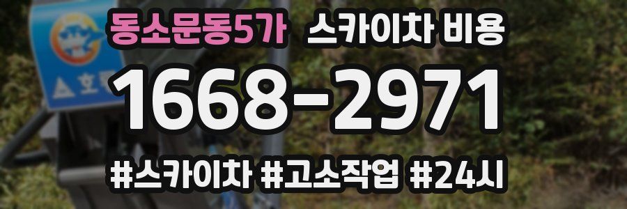 동소문동5가 스카이차 비용