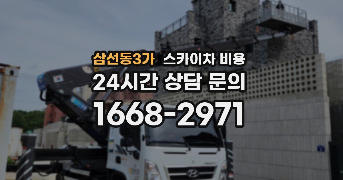 삼선동3가 스카이차 비용