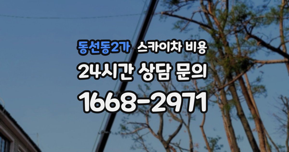 동선동2가 스카이차 비용