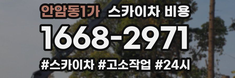 안암동1가 스카이차 비용