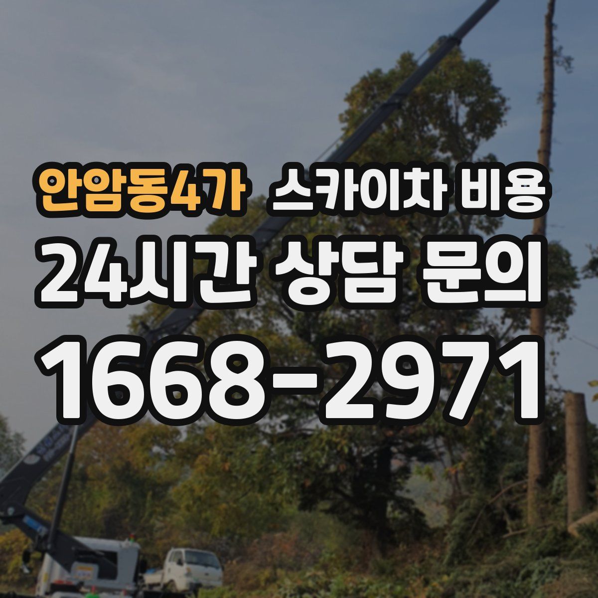 안암동4가 스카이차 비용