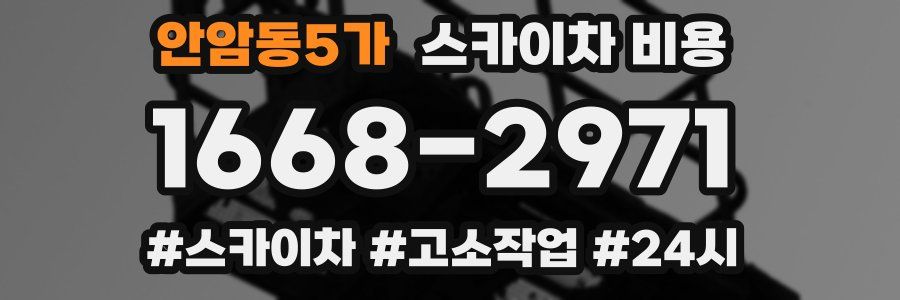 안암동5가 스카이차 비용