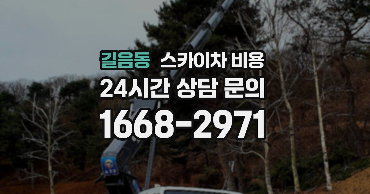 길음동 스카이차 비용