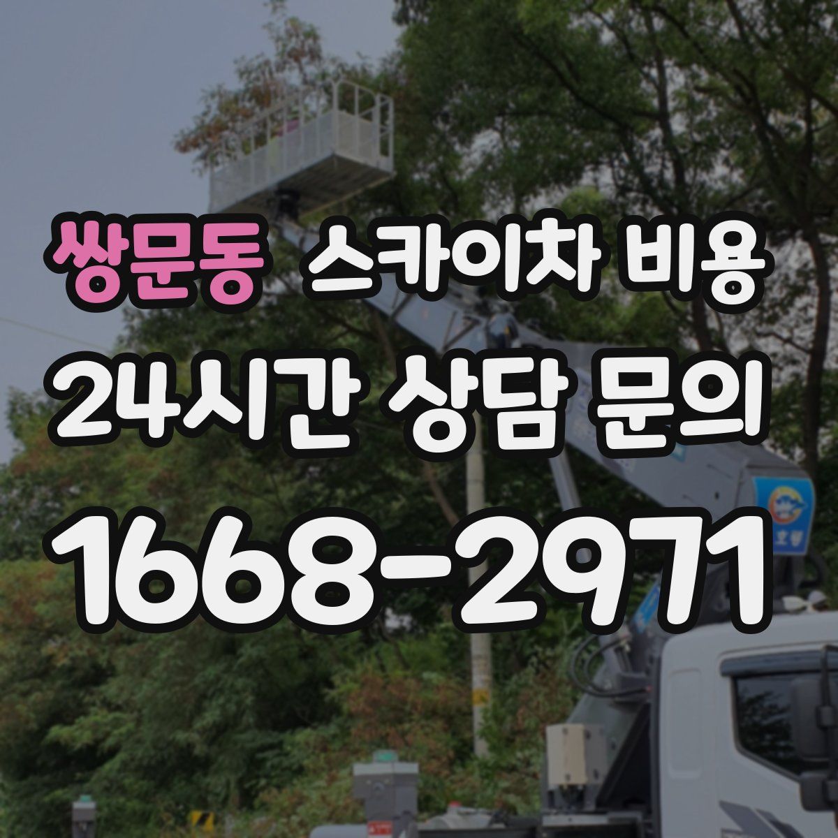 쌍문동 스카이차 비용