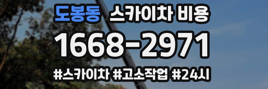 도봉동 스카이차 비용