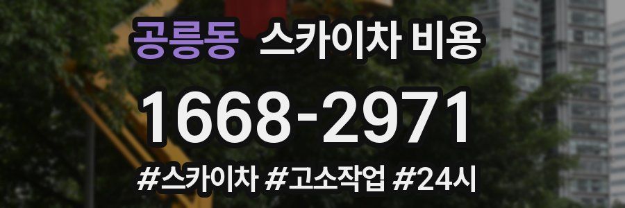 공릉동 스카이차 비용