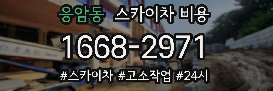 응암동 스카이차 비용