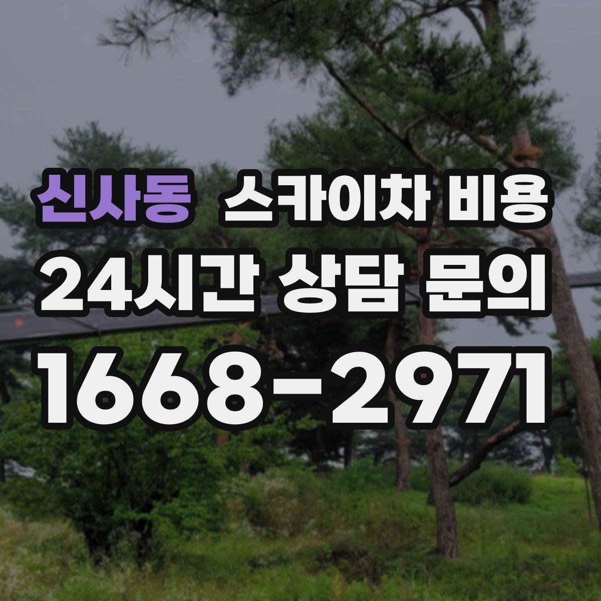 신사동 스카이차 비용 수목 전정은 작업 구역이 넓으면 달라질까